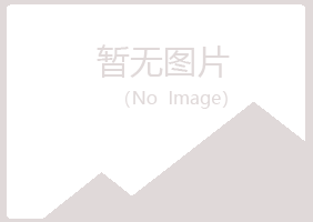 彬县夏岚金属有限公司